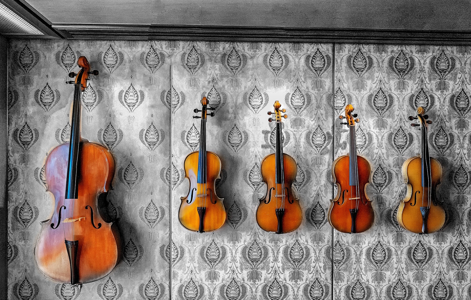 ヴァイオリンなど弦楽器画像
